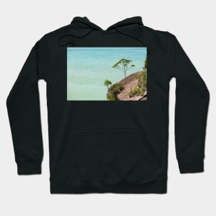 Small tree and big vast ocean scenery Hoodie